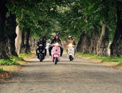 Vespa verhuur Vlaamse ardennen